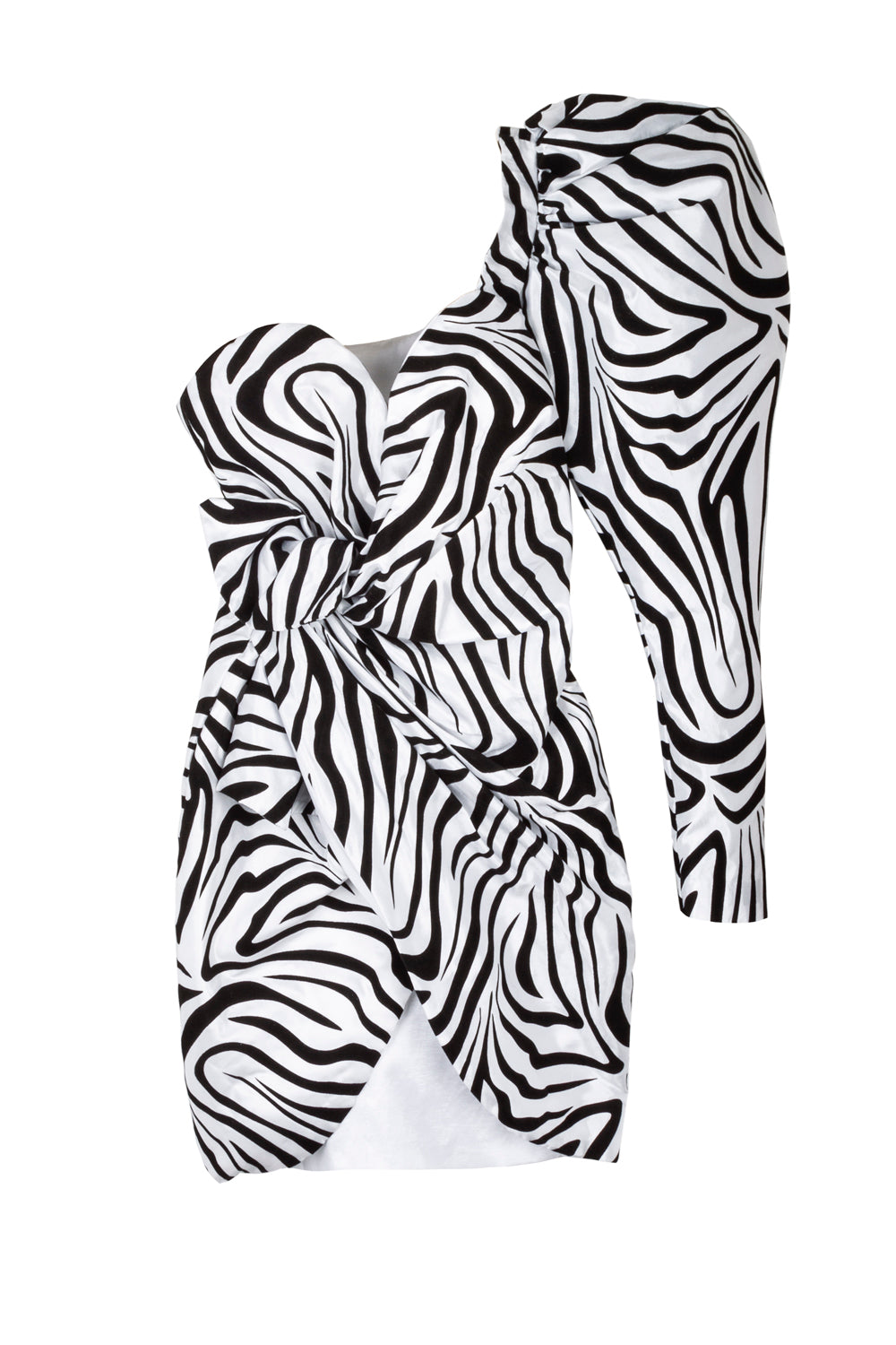 Zebra Extravaganza Dress